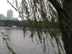 -后襄河公园