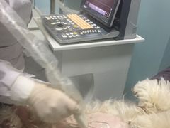 -中农大我爱我爱24h动物医院·中医针灸·猫专科·骨科医疗中心(双井店)