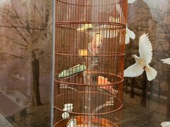 -天津华夏鞋文化博物馆