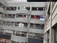 -黑龙江中医药大学附属第一医院