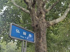 -山东理工大学