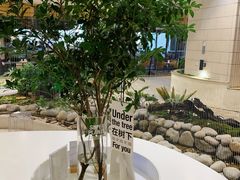 -1/4 ONE QUARTER COFFEE LAB(朝阳大悦城店)