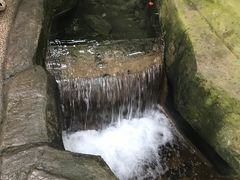 -南山植物园