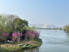 -洋湖国家湿地公园