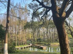-杭州植物园