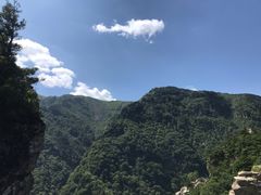 -牛背梁国家森林公园