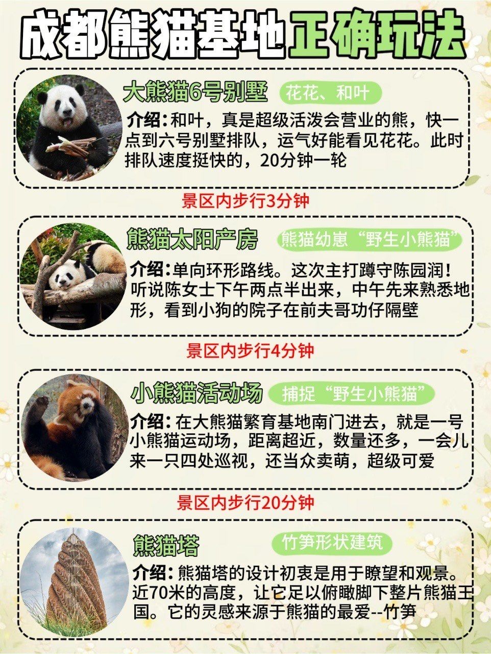 成都本地人做的熊猫基地攻略71错过绝对后悔