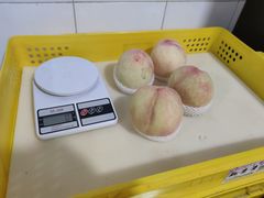 -老袁家蜜桃农场·阳山水蜜桃