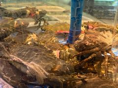 -海立阁海鲜江浙菜(漕河泾印象城店)