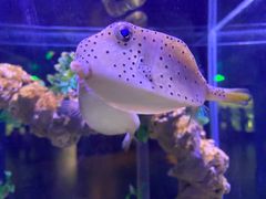 -太平洋海底世界