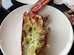 -廊坊固安福朋喜来登酒店