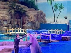 -华夏文旅海洋公园