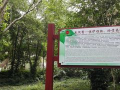 -广西壮族自治区药用植物园