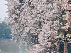 -红星桥(地铁站)