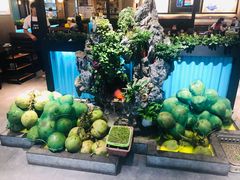 椰汁-东椰·海南椰子鸡火锅(朝阳门店)