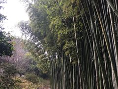 -汇龙潭