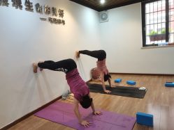 -兴亚瑜伽20年老馆