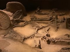 -洛阳周王城天子驾六博物馆