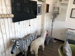 -CLUB心邸·掼蛋·麻将·扑克(日坛店)