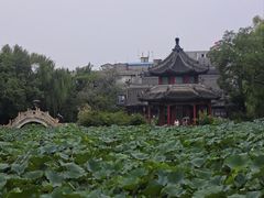 -莲池书院博物馆