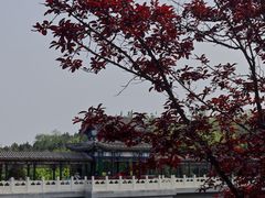 -北宫国家森林公园