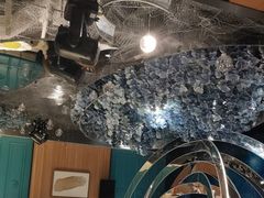 -大鸭梨烤鸭(顺义石园店)