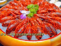 -虾乐园龙虾·夜宵(松江店)