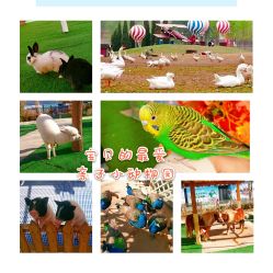 -萌宠亲子动物乐园(槐房万达店)