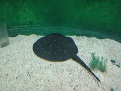 -常州海昌海洋探索馆