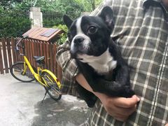 -宠爱有家宠物店(环镇北路店)