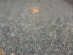 -东方之珠洗浴休闲广场(南开店)