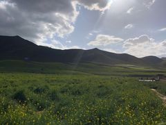 -扁都口生态休闲旅游区
