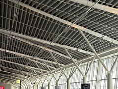 -朱利叶斯·尼雷尔国际机场