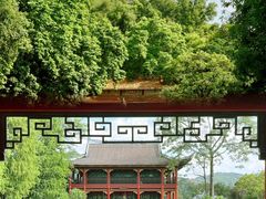 -顺峰山公园