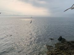 -泊石湾海滨浴场