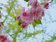 -山东师范大学(千佛山校区)
