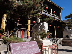 -五台山风景名胜区-罗睺寺