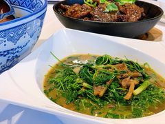 蚌肉金花菜-洋洋中餐馆·SINCE 1997(信投店)