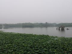 -大兴滨河森林公园