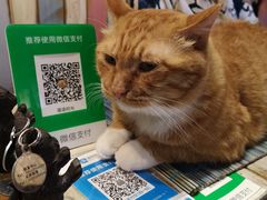 -小时光咖啡馆(开森度假森林店)