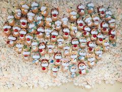 -柴犬高等学院·狗咖·柴犬售卖·宠物训练