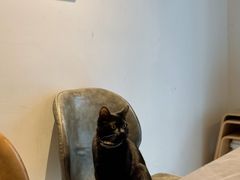-PAUSE CAFE(南秀村店)