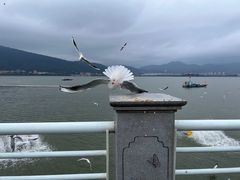 -海埂大坝