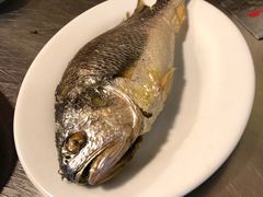 -龙眼南白粥六顺白粥