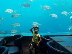-瑞德姆美人鱼海底演艺主题餐厅(亚龙湾店)