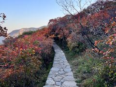 -周口店坡峰岭风景区