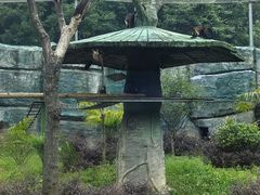 -杭州野生动物世界