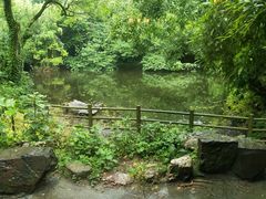 -绿野餐厅(上海动物园店)