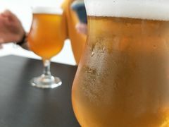 -ZING鲸鱼啤酒(葡萄院店)