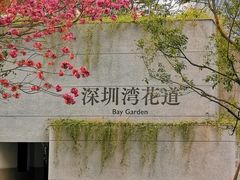 -深圳湾万象城(南山店)